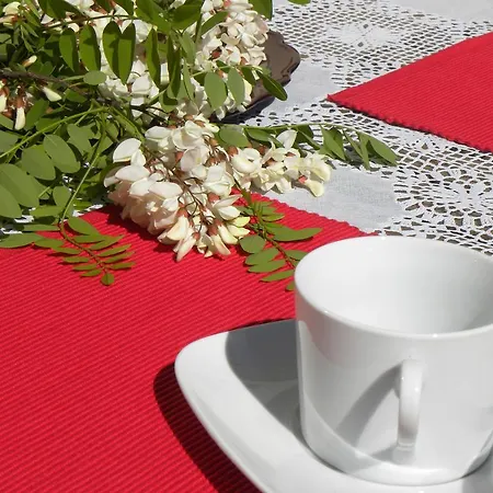 El Jardin De Gatos Caces