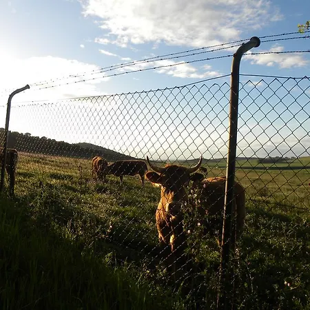 Apartmán El Jardin De Gatos Caces