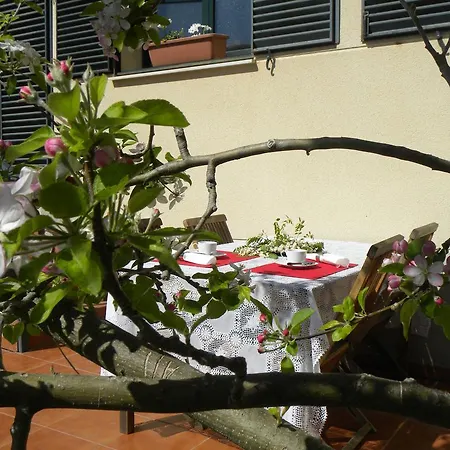 Lägenhet El Jardin De Gatos *