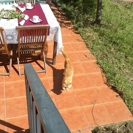 아파트 El Jardin De Gatos