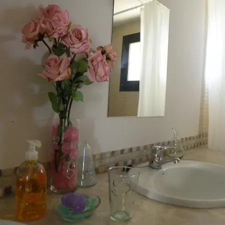 El Jardin De Gatos Apartmán Caces