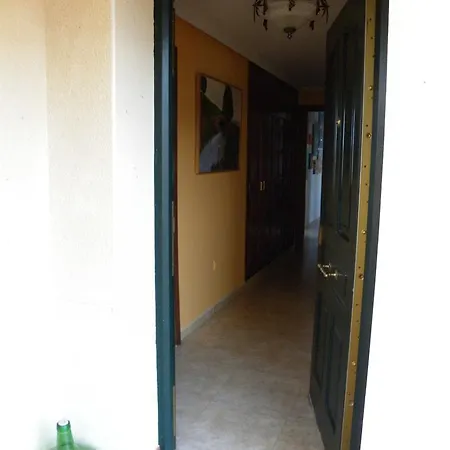 El Jardin De Gatos Caces
