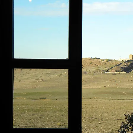 El Jardin De Gatos *