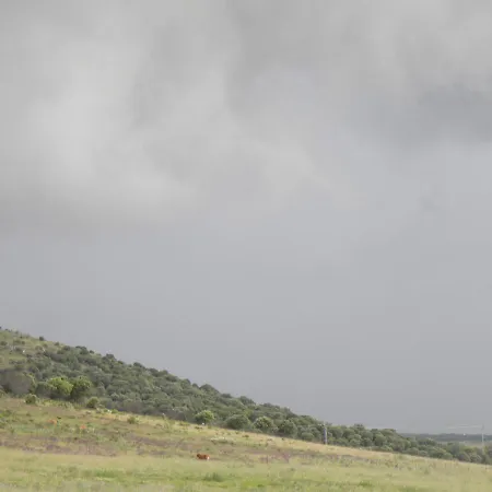Apartmán El Jardin De Gatos Caces