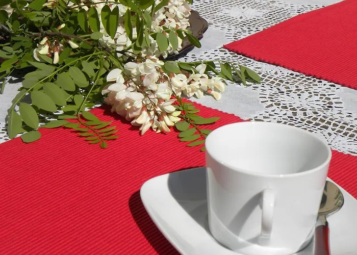 El Jardin De Gatos Caces