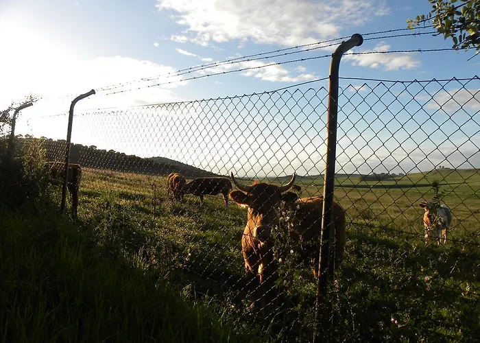 Appartamento El Jardin De Gatos Caces