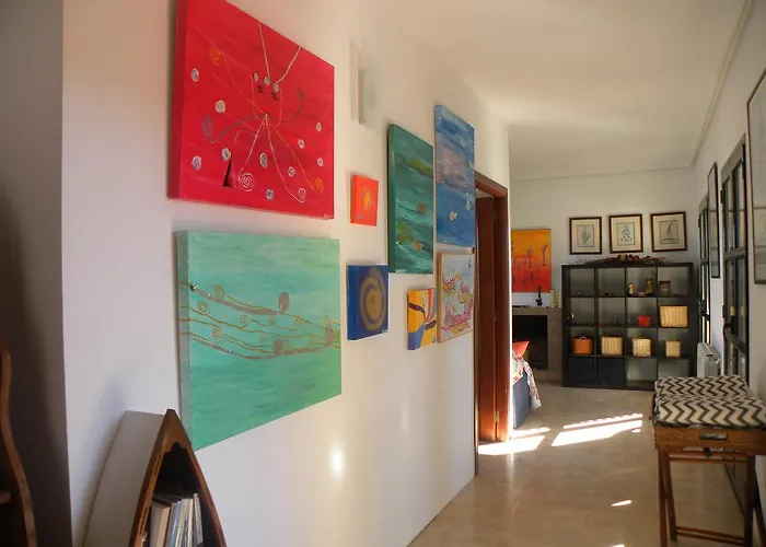 El Jardin De Gatos *