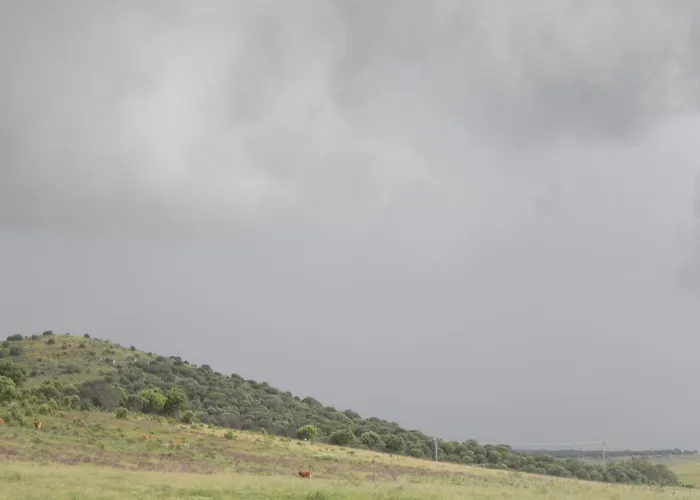 Appartamento El Jardin De Gatos Caces